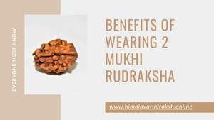 BENEFITS OF WEARING 2 MUKHI RUDRAKSHA