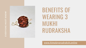 BENEFITS OF WEARING 3 MUKHI RUDRAKSHA