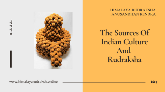 blogs on rudraksha