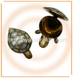 Divy Icchapurti Kachua (turtle) - himalaya rudraksha anusandhan kendra