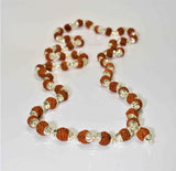 5 Mukhi/Face Rudraksha Silver Chain (54+1 beads) - himalaya rudraksha anusandhan kendra