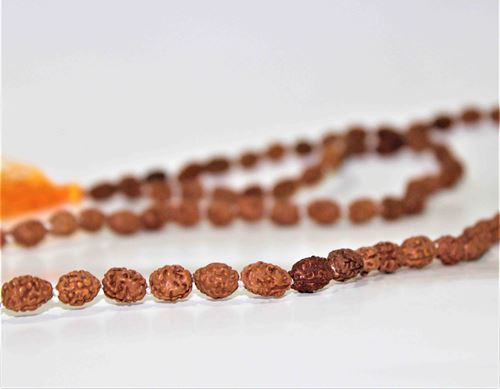 3 Mukhi Rudraksha Mala lab Certified, 108 Mala Beads, 3 Mukhi Rudraksha  Necklace, Prayer Mala, Meditation Mala, Gift for Yoga Lover 