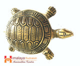 Vastu Turtle(kacchua) - himalaya rudraksha anusandhan kendra