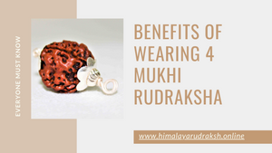 BENEFITS OF WEARING 4 MUKHI RUDRAKSHA