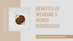BENEFITS OF WEARING 5 MUKHI RUDRAKSHA