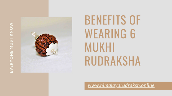 benefits of wearing 6 mukhi rudraksha