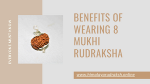 BENEFITS OF WEARING 8 MUKHI RUDRAKSHA
