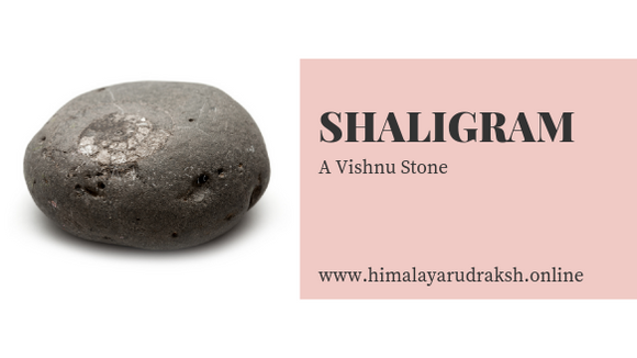 shaligram/shalaigram - A Vishnu Stone