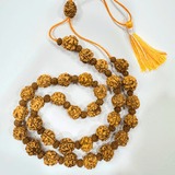 3 Mukhi Rudraksha Mala - Nepali - Himalaya Rudraksha Anusandhan Kendra