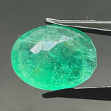 Emerald - 10.85 cts (Super Premium)