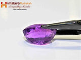 Amethyst - 8.10 cts - Himalaya Rudraksha Anusandhan Kendra