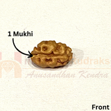 1 Mukhi Natural Java Rudraksha