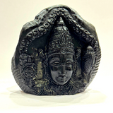 Shree Balaji Carved Shaligram - 503 Grams