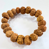 12 mukhi rudraksha bracelet
