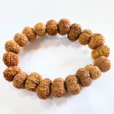 12 mukhi bracelet
