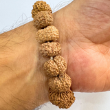 12 mukhi indonesian bracelet
