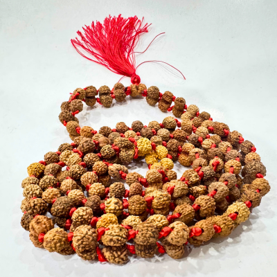 Gaurishankar Rudraksha Mala (Indonesian Origin- 108+1 beads)