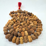 14 Mukhi Rudraksha Mala (Indonesian Origin- 108+1 beads)