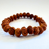 Ganesh Mukhi Rudraksha Bracelet