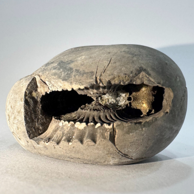 Lakshmi Narayan Shaligram