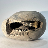 Lakshmi Narayan Shaligram