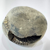 Lakshmi Narayan Shaligram