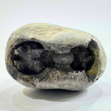 lakshmi narsima shaligram
