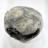 shaligram