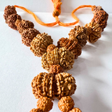 1-13 Mukhi rudraksha mala
