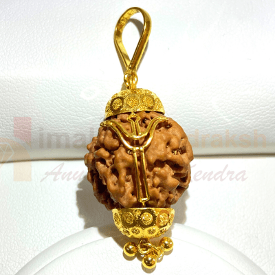 Natural Mukhi Rudraksha In pure Gold (Nepal Origin- Gms