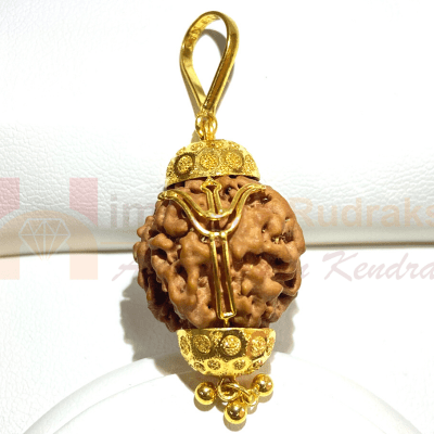 Natural Mukhi Rudraksha In pure Gold (Nepal Origin- Gms