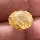 Yellow Sapphire (Pukhraj - 7.30 cts) - Ceylonese - Himalaya Rudraksha Anusandhan Kendra