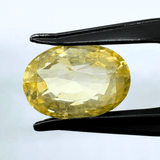 Yellow Sapphire (Pukhraj - 7.70 cts) - Ceylonese (Super Premium) - Himalaya Rudraksha Anusandhan Kendra