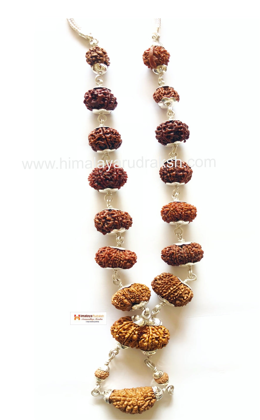 Indonasia Round 1-14 Mukhi Indonesian Rudraksha Bracelet Silver Capping,  Packaging Type: Box at Rs 10999/piece in Delhi