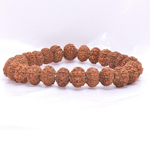 8 mukhi bracelet (5158199263366)