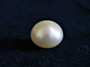 Real South Sea Pearl (11.65 cts) - himalaya rudraksha anusandhan kendra (5192433860742) (5193249030278) (5193249292422) (5193249423494)