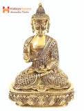 Buddha Statue - himalaya rudraksha anusandhan kendra