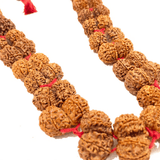 Gaurishankar Rudraksha Kantha (Nepal Origin) - Himalaya Rudraksha Anusandhan Kendra