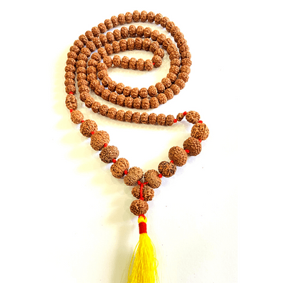 Ramneek Jewels 14 Mukhi Rudraksha Bead - 10mm Fourteen Face Indonesian Rudraksh, Sacred Shiva Blessing