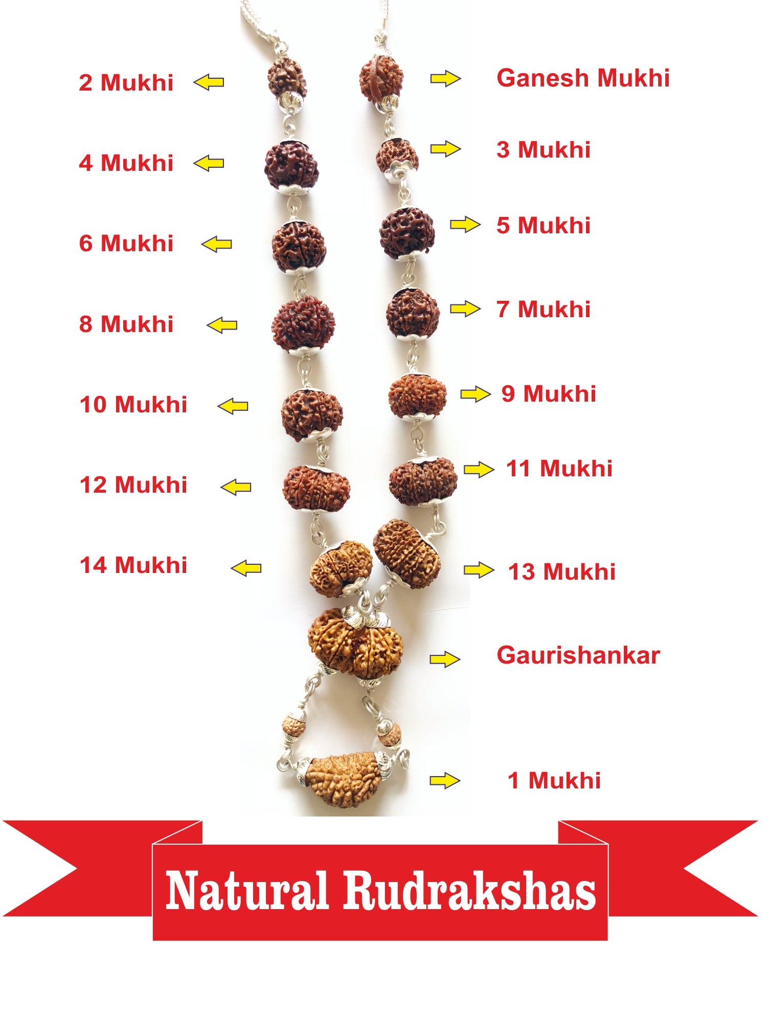 14 Mukhi Nepal Rudraksha Beads buy online from India USA UK CA