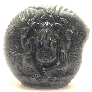 Ganesha Carved Shaligram