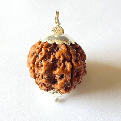SHIVALOKA 5 Mukhi Rudraksha Mala 108 Perles Avec 6 Mukhi (Six