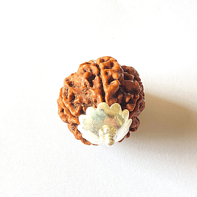 Mithila Handicrafts Six Face (Chhah-Mukhi) Rudraksha Bead - Natural, Lab Certified, With Panch Dhatu Pendant - View #3