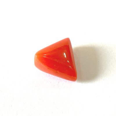 Natural Coral (Moonga) - 5.25 cts (Triangular) - Himalaya Rudraksha Anusandhan Kendra