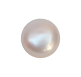 Pearl (3.75 Cts ) - himalaya rudraksha anusandhan kendra