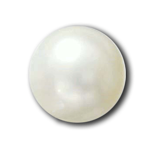 Pearl (3.75 Cts ) - himalaya rudraksha anusandhan kendra
