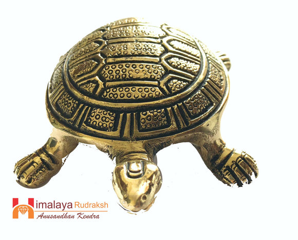 Vastu Turtle(kacchua) - himalaya rudraksha anusandhan kendra